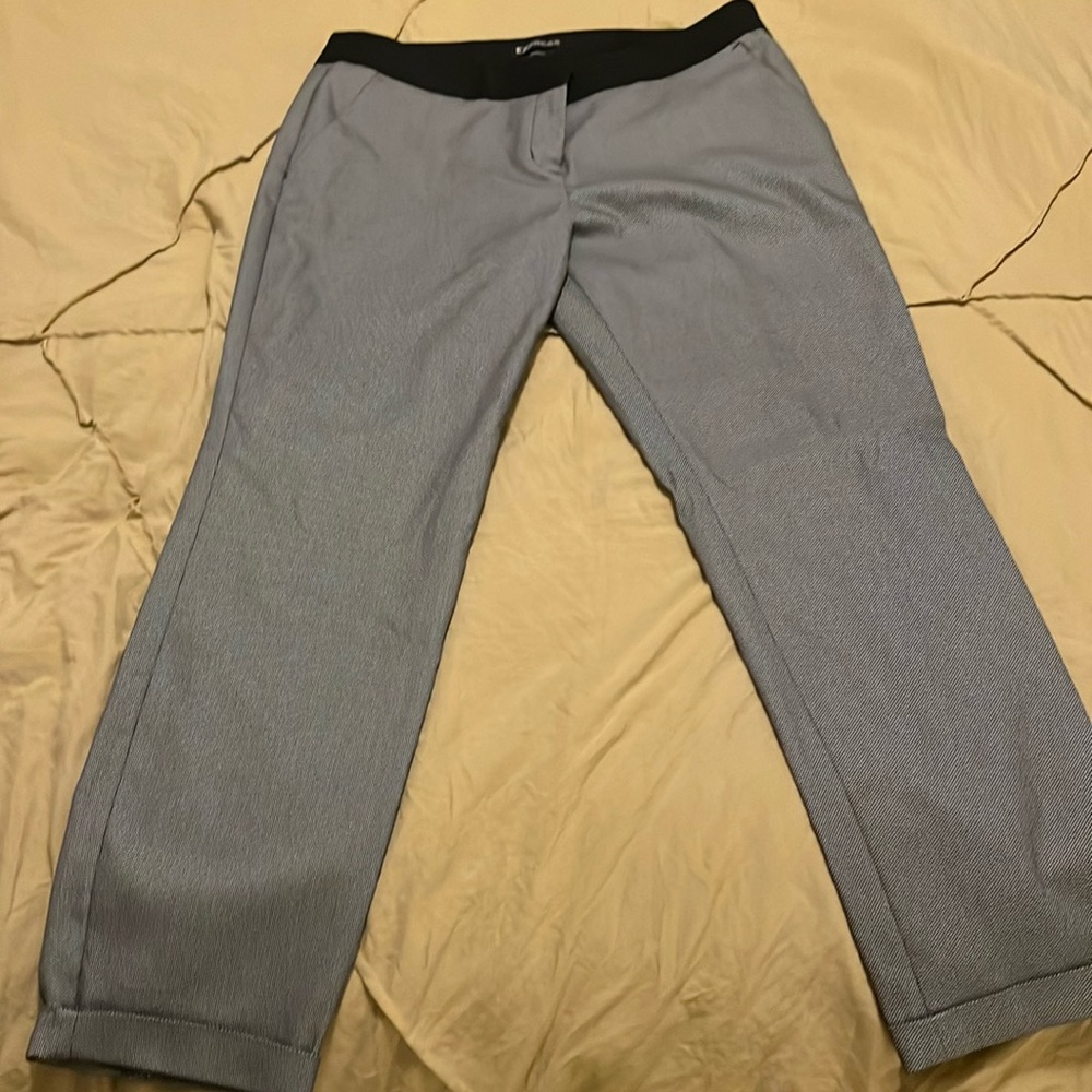 Express dress pants